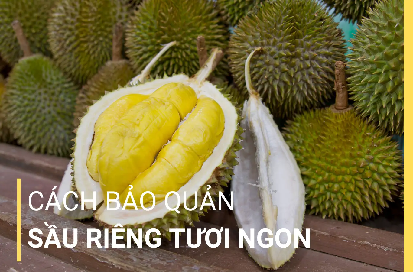 3 cách bảo quản sầu riêng tươi ngon lâu hơn cach bao quan sau rieng thumb