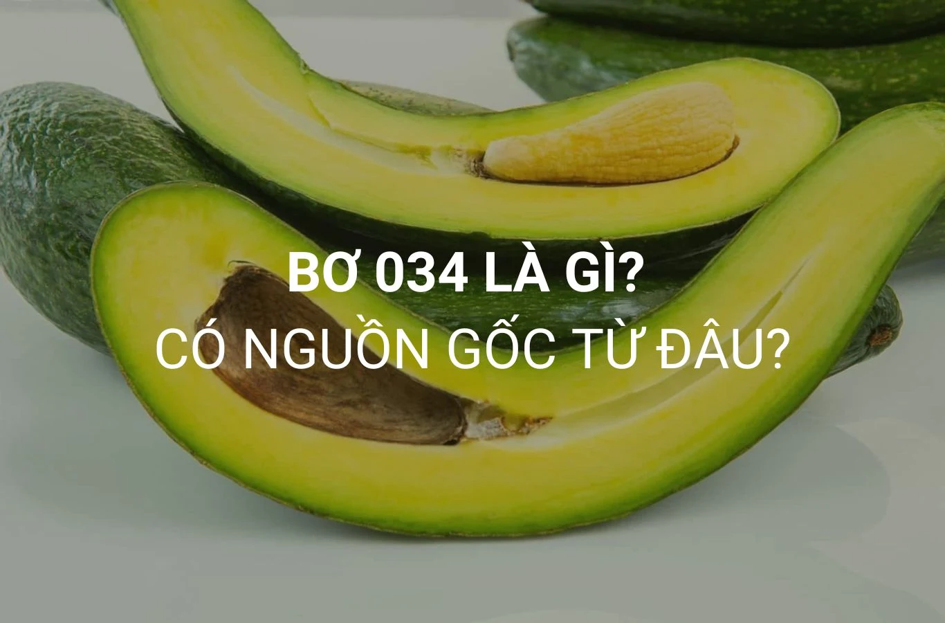 Bơ 034 là gì? Cách chọn và bảo quản bơ tươi ngon nhất bo 034 la gi 1