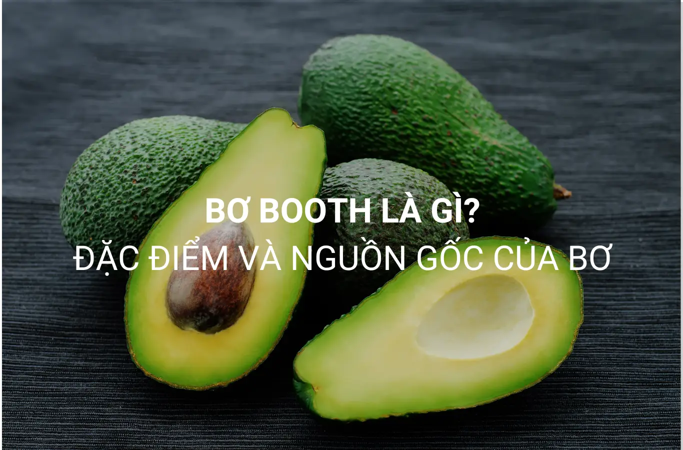 Bơ Booth là gì? Cách chọn và ủ bơ tươi ngon bo booth la gi 1