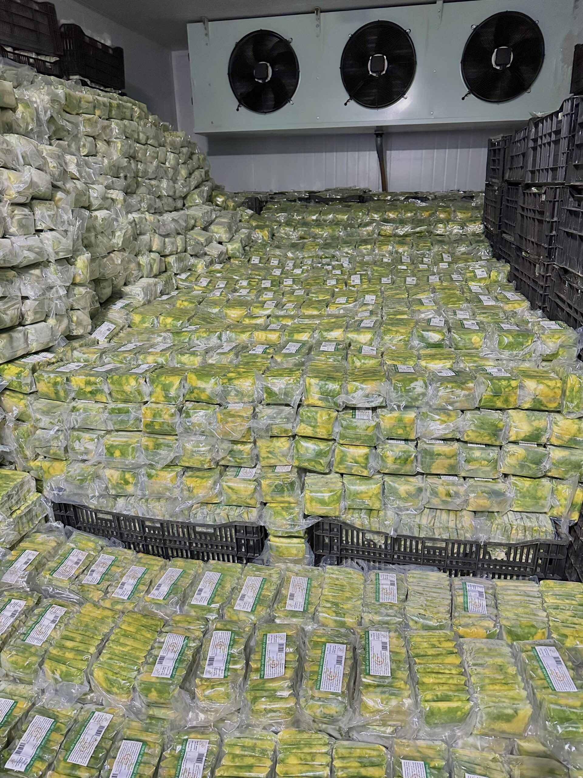 Giới thiệu quy trình sản xuất