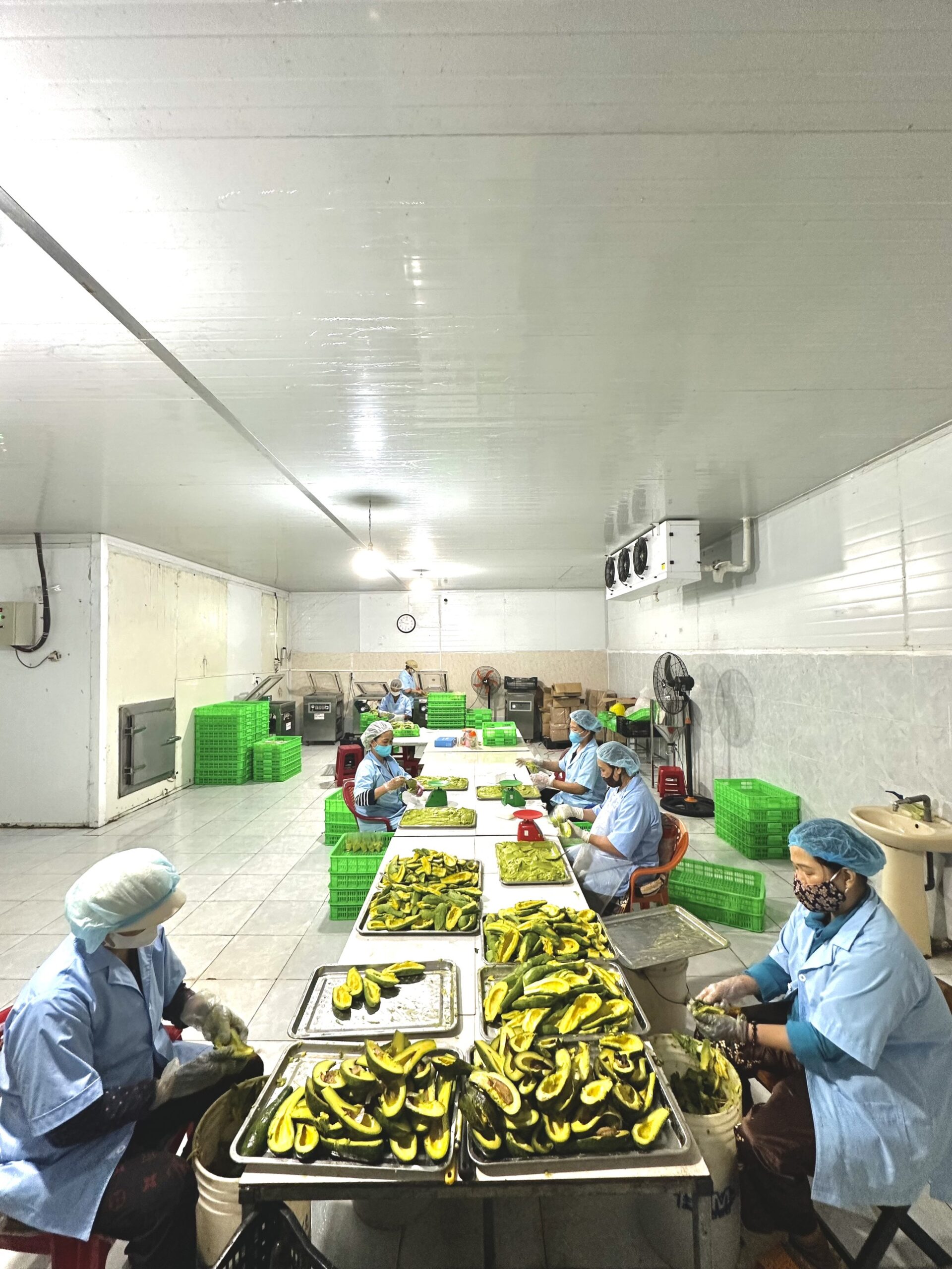 Giới thiệu quy trình sản xuất